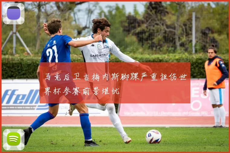 马竞后卫吉梅内斯脚踝严重扭伤世界杯参赛前景堪忧