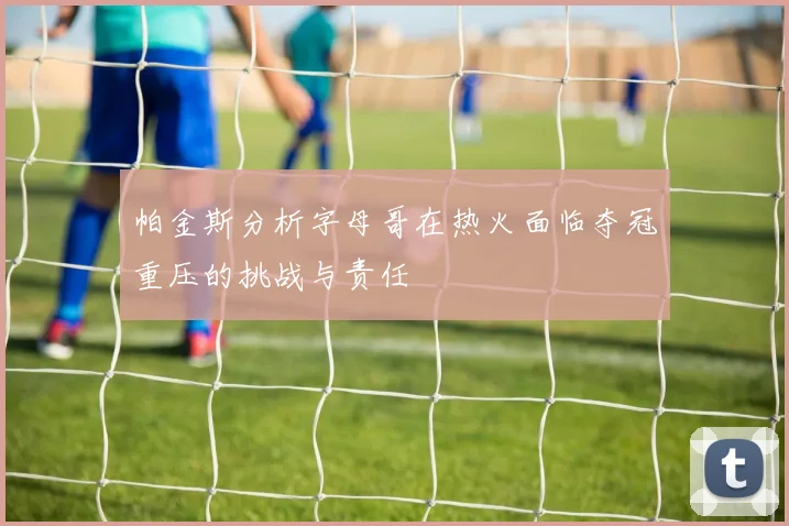 帕金斯分析字母哥在热火面临夺冠重压的挑战与责任