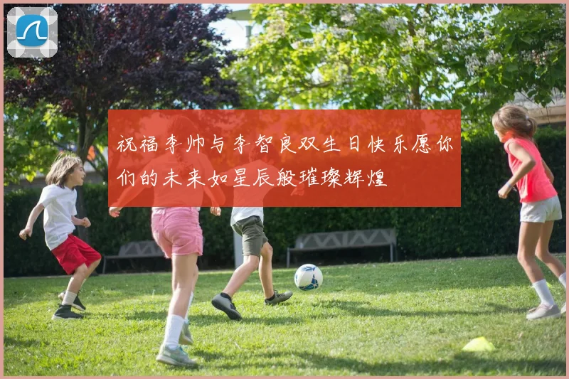祝福李帅与李智良双生日快乐愿你们的未来如星辰般璀璨辉煌